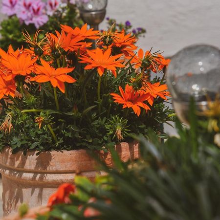 Apartments Haus Hagen Šibenik Екстериор снимка